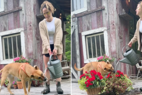 dog gardener water video