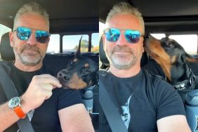 dog treat video