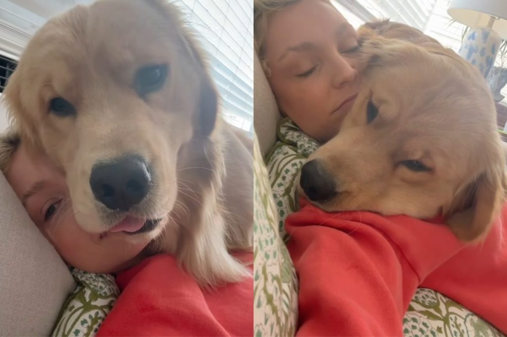 dog snuggling owner