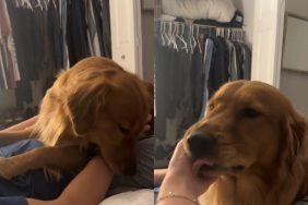dog dad mom video