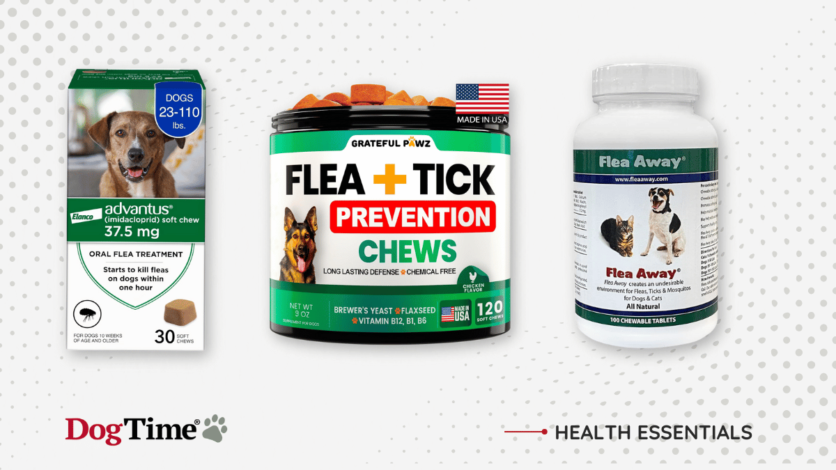 13 Best Flea Treatments for Dogs — Top Picks in 2025 - Best Flea Medicines For Dogs