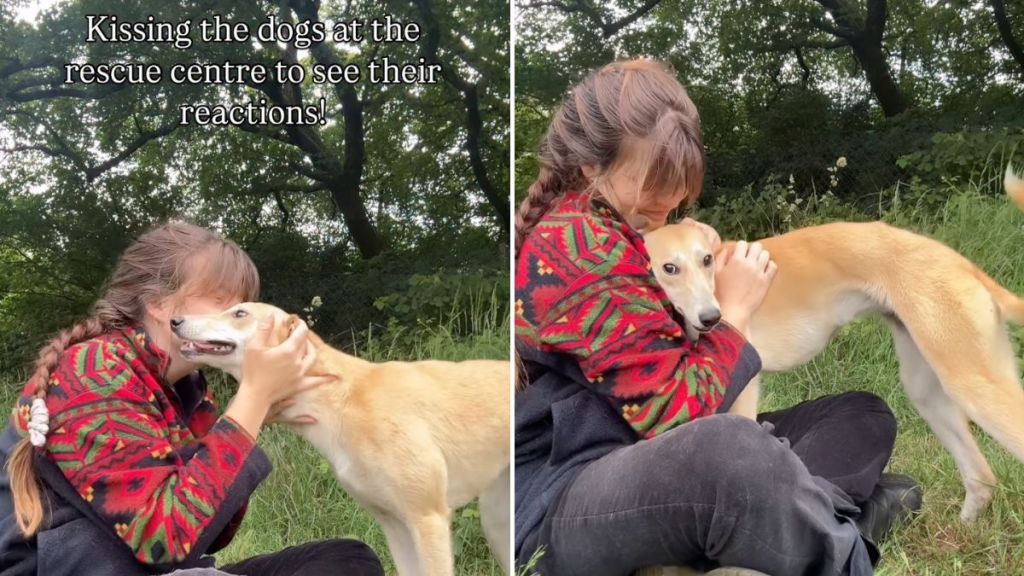 rescue dog kisses video
