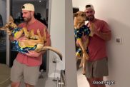 rescue dog toddler video