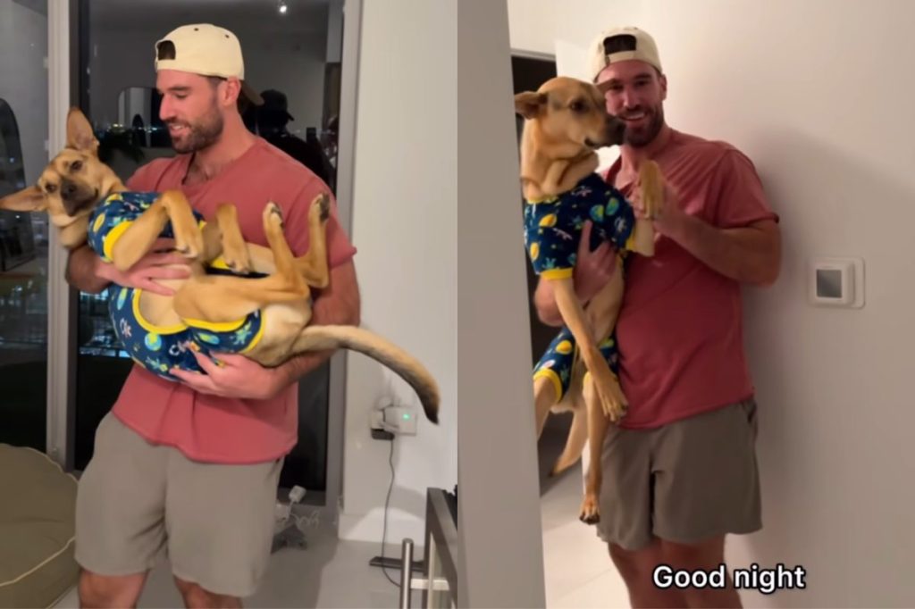rescue dog toddler video