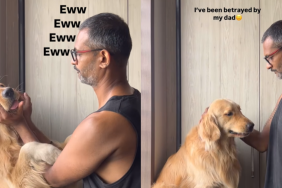 funny dog video