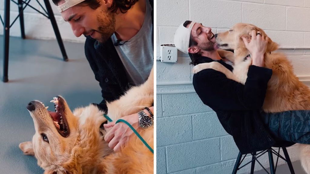 Rescue dog reunion photos