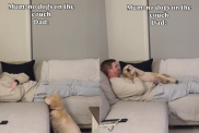 adorable dog video