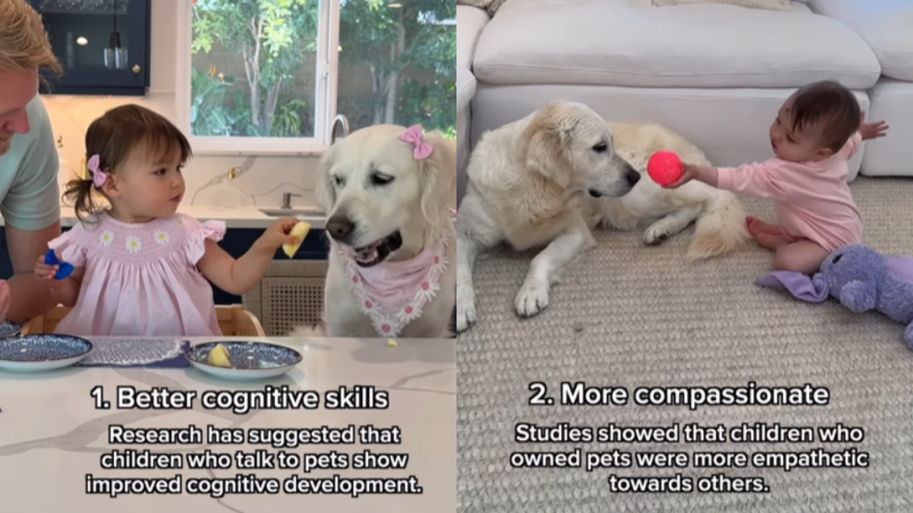 adorable dog video