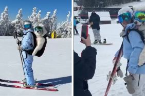Samoyed ski video