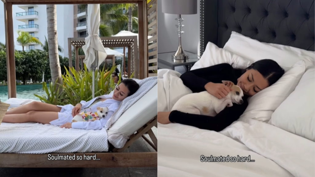 adorable dog video
