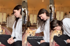 owner parenting dog video