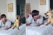 Instagram video shows what rescue dog does when owner copies him