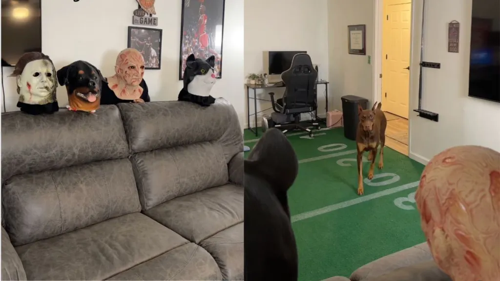 Owner tricking Doberman with a mask results in hilarious video