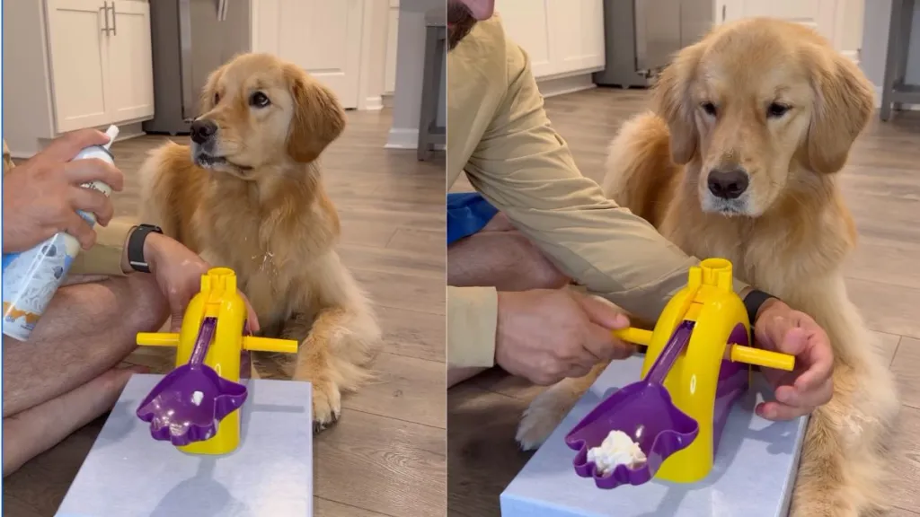 Dog masters pup cup catch in funny viral video