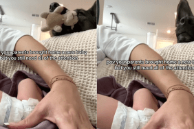 dog baby fetch video