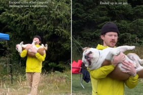 dog watermelon video