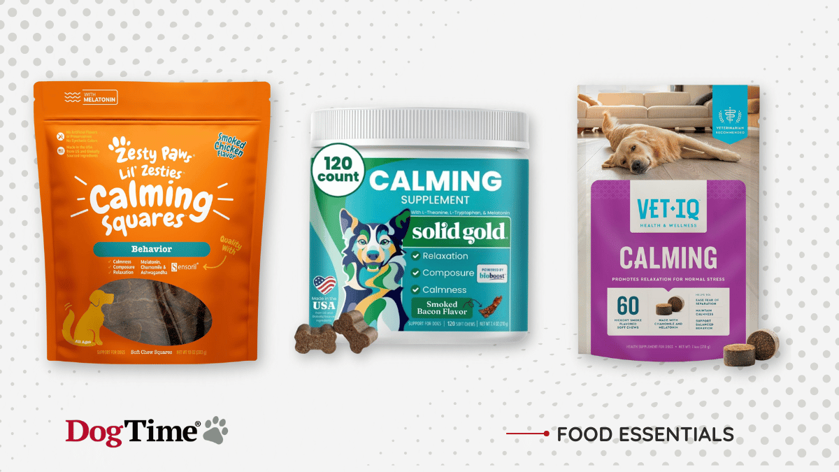 Selegiline for Dogs Uses, Dosage, & Side Effects