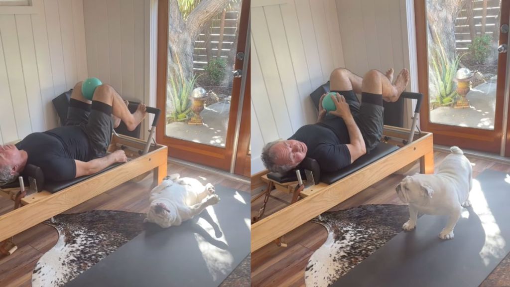 Bulldog accompanies dad for Pilates workout in viral video