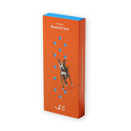 DNA My Dog Premium Test