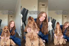 Cocker Spaniel Puppy Learns To Sing in Adorable Video