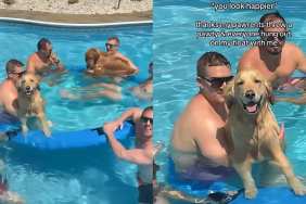 Golden Retriever Brothers’ Pool Party With Boyfriends Is Truly a Dream
