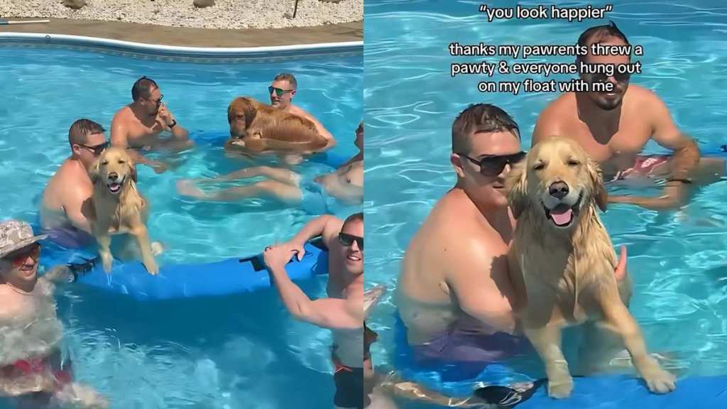 Golden Retriever Brothers’ Pool Party With Boyfriends Is Truly a Dream