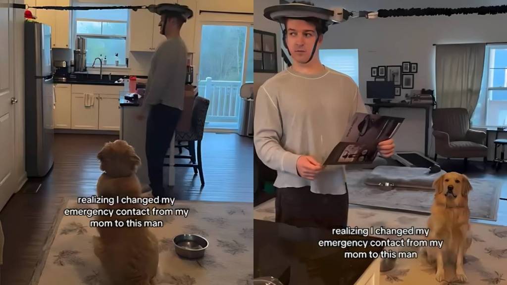 Video: Golden Retriever Questions Making Dad His Emergency Contact