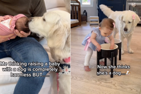 baby dog behavior video