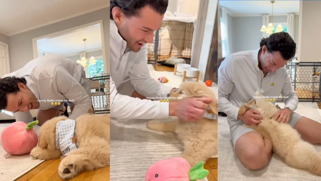 Golden Retriever puppy meets dad for the first time in viral video
