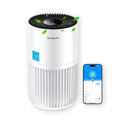 GoveeLife Mini Air Purifier