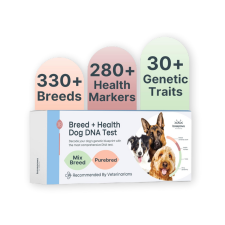 Health Dog DNA Test