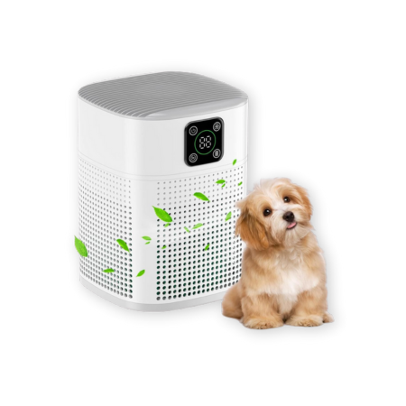 Honeyuan Air Purifier
