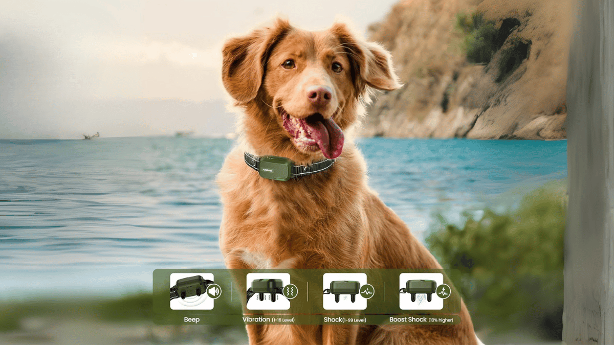 Selegiline for Dogs Uses, Dosage, & Side Effects