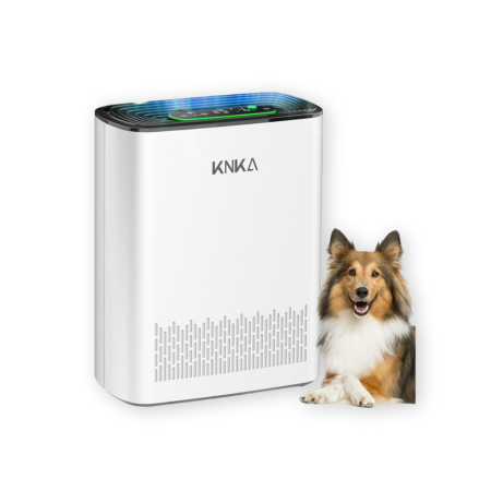 KNKA Air Purifier