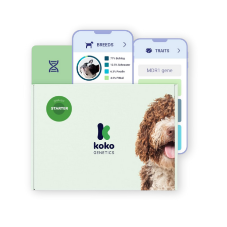 Koko Genetics DNA Kit Starter