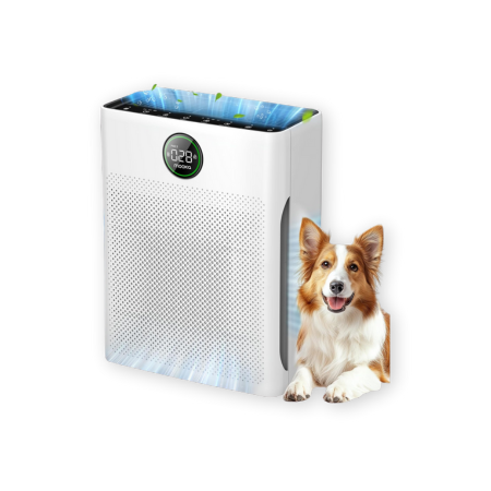 MOOKA Air Purifiers for Home