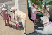 adorable dog and toddler video