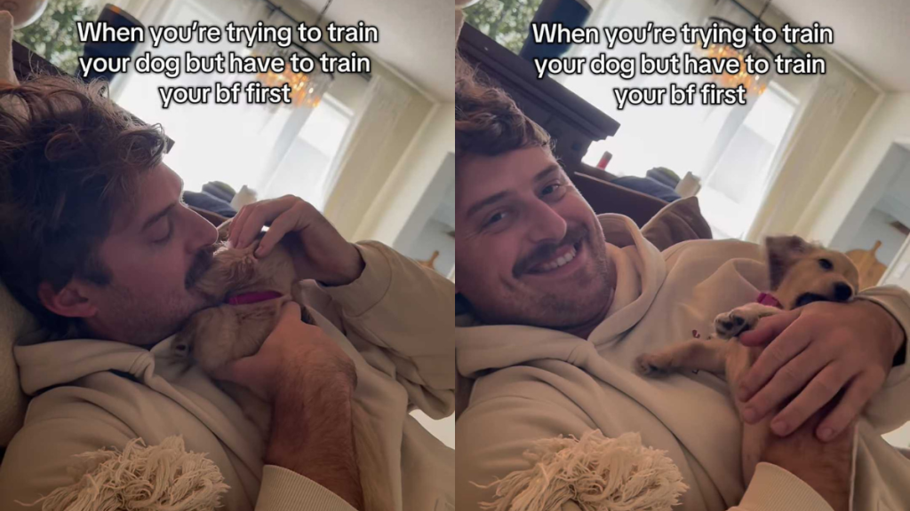 funny dog video