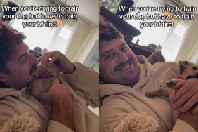 funny dog video