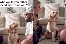 adorable dog video