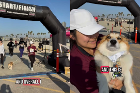 adorable dog video