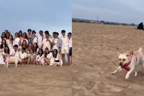 Dog photobomb video