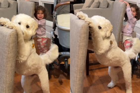 goldendoodle toddler video
