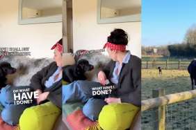 dog date video