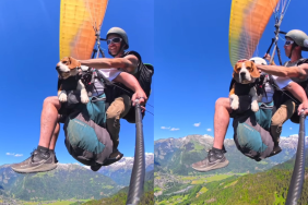 Beagle paragliding video
