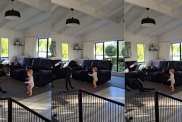 Great Dane toddler video