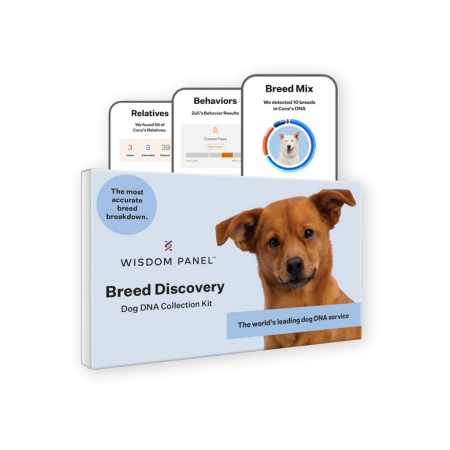 Wisdom Panel Breed Discovery Dog DNA Collection Kit