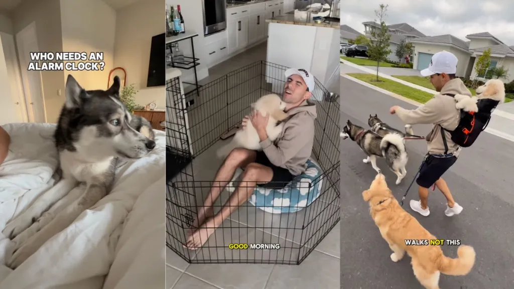 Owners show what their morning with '6 animals' looks like in video