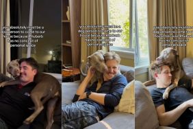 Owner reveals that their dog 'has no concept of personal space' in video