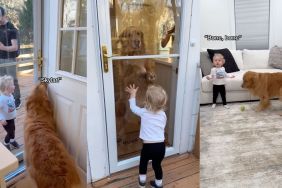 Instagram video shows a Golden Retriever and toddler excitedly reuniting